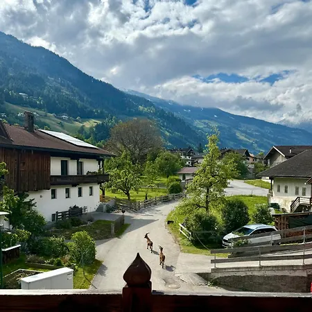 Bohringerhof- Grosses Apartment Am Bauernhof Im Zillertal *