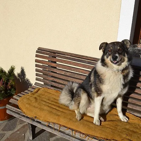 Bohrerhof Appartement Ahrnbach