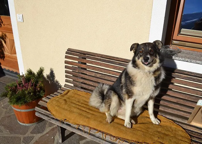 Bohrerhof Апартаменты Ahrnbach